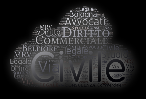Diritto Civile e Commerciale, Diritto dello Sport, Diritto Amministrativo, Mediazioni e Custodie Giudiziarie sono gli ambiti di consulenza dello Studio Legale MRV di Bologna